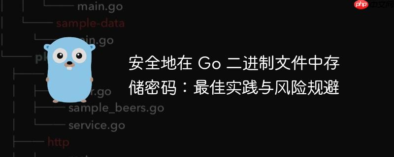 安全地在 go 二进制文件中存储密码:最佳实践与风险规避