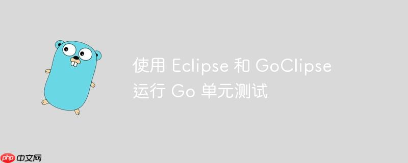 使用 eclipse 和 goclipse 运行 go 单元测试