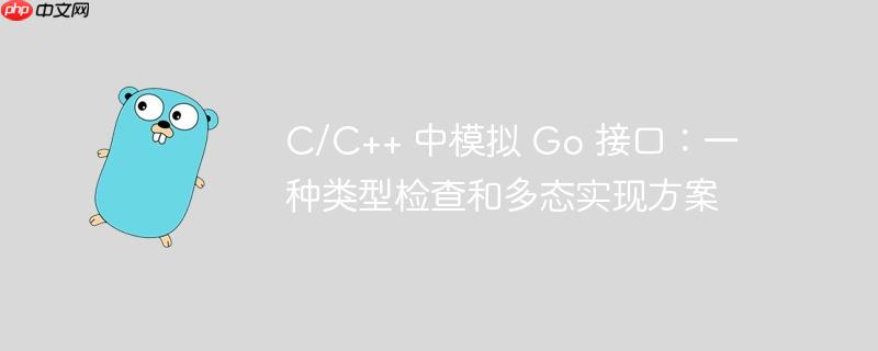 c/c++ 中模拟 go 接口:一种类型检查和多态实现方案