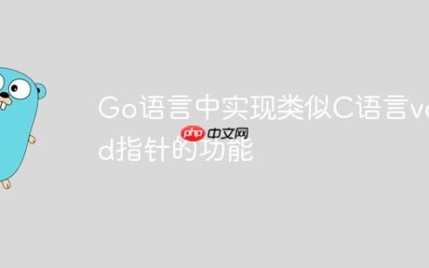 Go语言中实现类似C语言void指针的功能