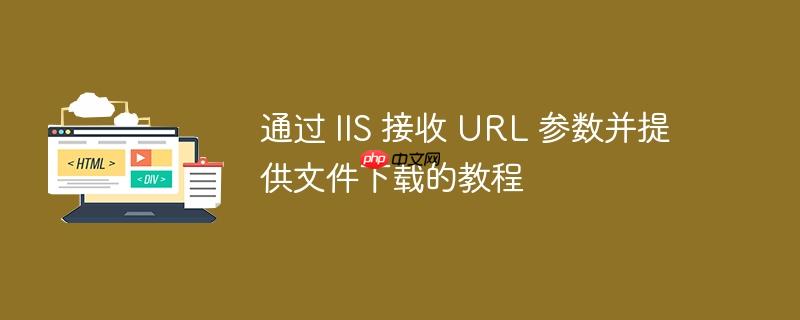 通过 iis 接收 url 参数并提供文件下载的教程