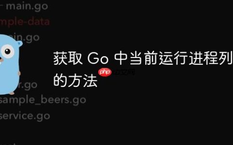 获取 Go 中当前运行进程列表的方法