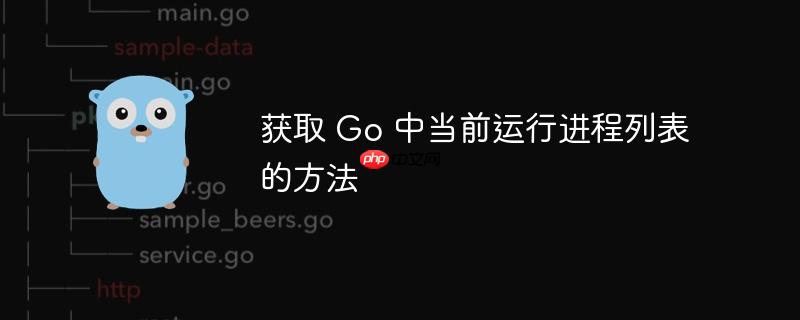 获取 go 中当前运行进程列表的方法