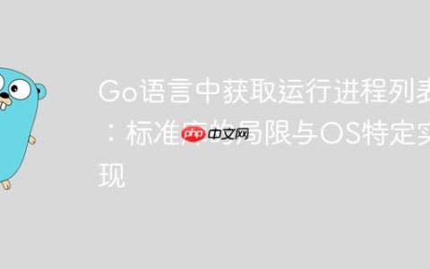 Go语言中获取运行进程列表：标准库的局限与OS特定实现