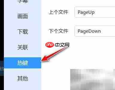 迅雷影音热键设置指南