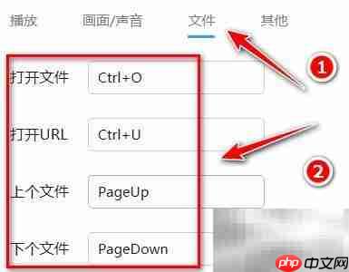迅雷影音热键设置指南