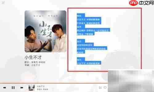 虾米音乐电脑版查看复制歌词方法