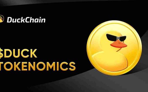 什么是DuckChain (DUCK)？DUCK价格预测2025-2030年