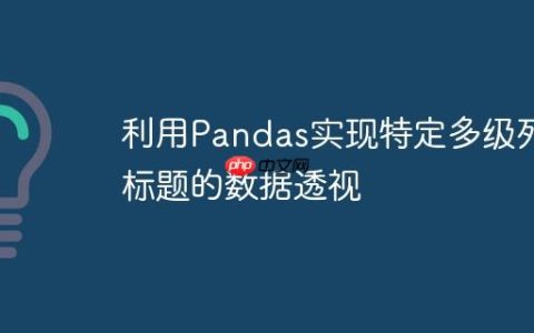 利用Pandas实现特定多级列标题的数据透视