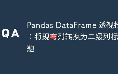 Pandas DataFrame 透视技巧：将现有列转换为二级列标题