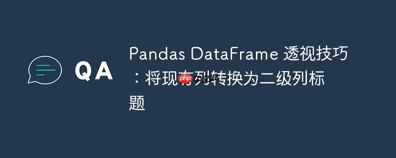 pandas dataframe 透视技巧:将现有列转换为二级列标题