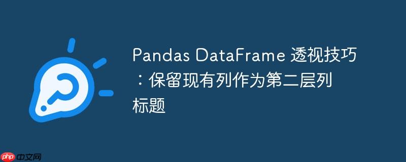 pandas dataframe 透视技巧:保留现有列作为第二层列标题