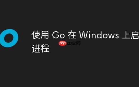使用 Go 在 Windows 上启动进程