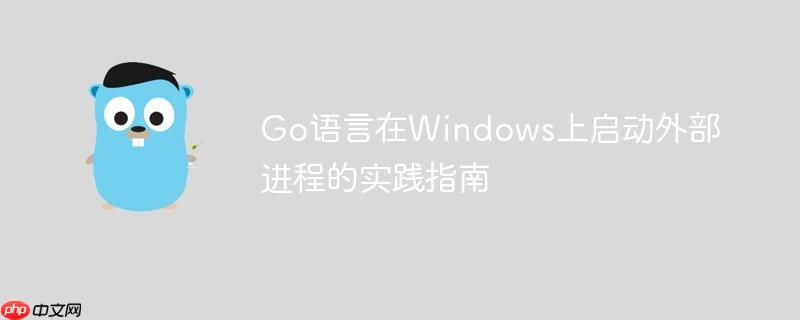 Go语言在Windows上启动外部进程的实践指南