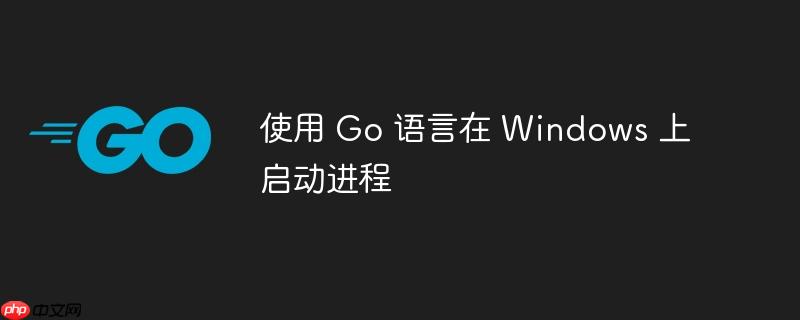 使用 go 语言在 windows 上启动进程