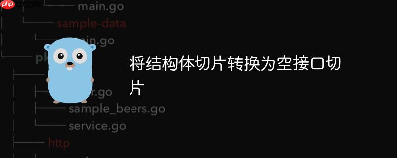 将结构体切片转换为空接口切片