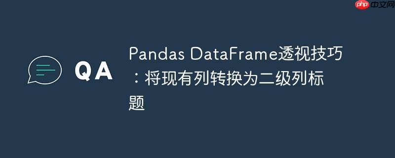 pandas dataframe透视技巧:将现有列转换为二级列标题