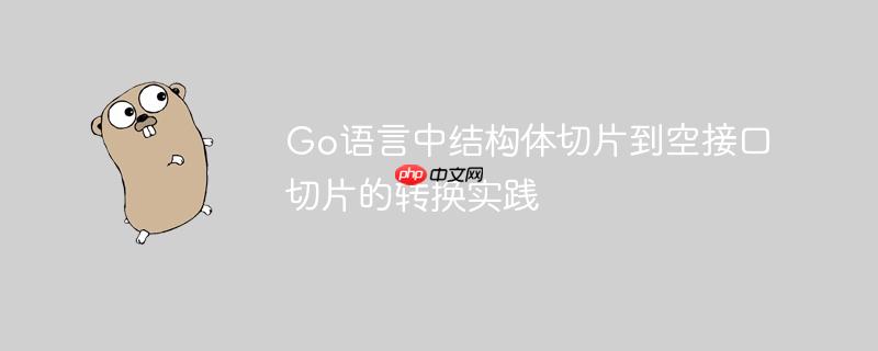 Go语言中结构体切片到空接口切片的转换实践
