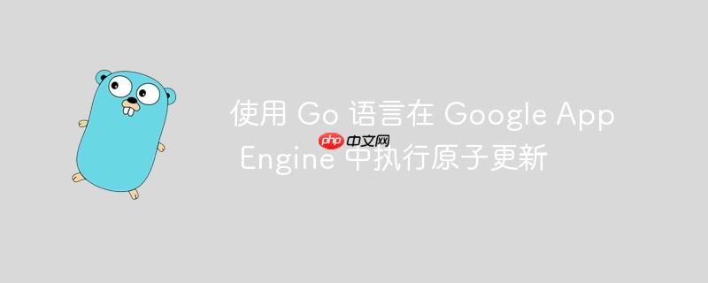 使用 go 语言在 google app engine 中执行原子更新