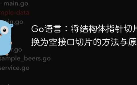 Go语言：将结构体指针切片转换为空接口切片的方法与原理