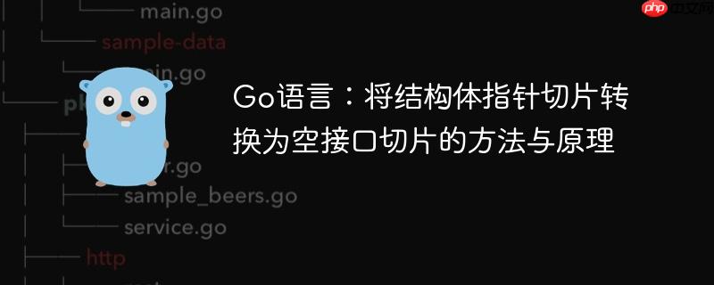 Go语言：将结构体指针切片转换为空接口切片的方法与原理