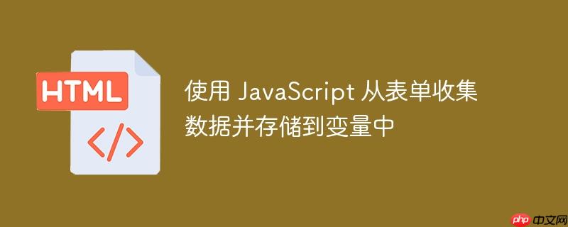 使用 javascript 从表单收集数据并存储到变量中