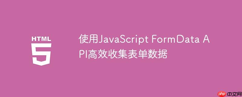 使用JavaScript FormData API高效收集表单数据