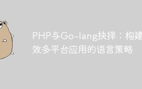 PHP与Go-lang抉择：构建高效多平台应用的语言策略