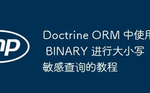 Doctrine ORM 中使用 BINARY 进行大小写敏感查询的教程