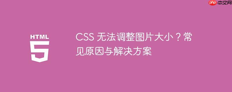 CSS 无法调整图片大小?常见原因与解决方案