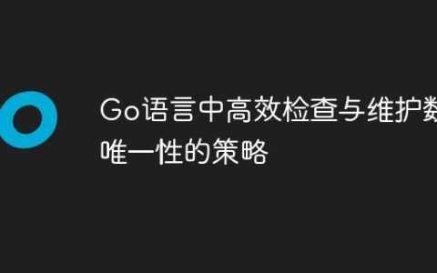 Go语言中高效检查与维护数据唯一性的策略