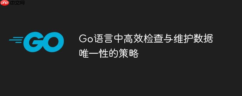 Go语言中高效检查与维护数据唯一性的策略