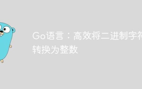 Go语言：高效将二进制字符串转换为整数