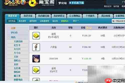 梦幻藏宝阁登录指南