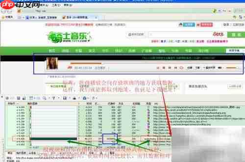 免费获取收费音乐链接方法