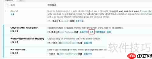WordPress代码高亮可视化技巧