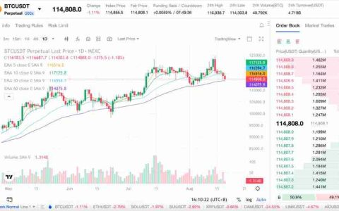 比特币会在9月见顶吗?投资者该如何应对?一文解析