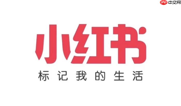 小红书网页版入口 小红书网页版入口官网