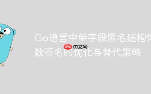 Go语言中单字段匿名结构体函数签名的优化与替代策略