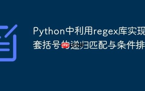 Python中利用regex库实现嵌套括号的递归匹配与条件排除