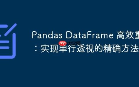 Pandas DataFrame 高效重塑：实现单行透视的精确方法