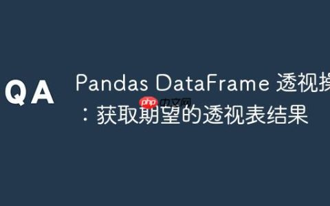 Pandas DataFrame 透视操作：获取期望的透视表结果
