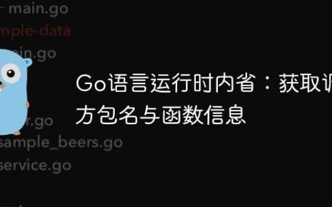 Go语言运行时内省：获取调用方包名与函数信息
