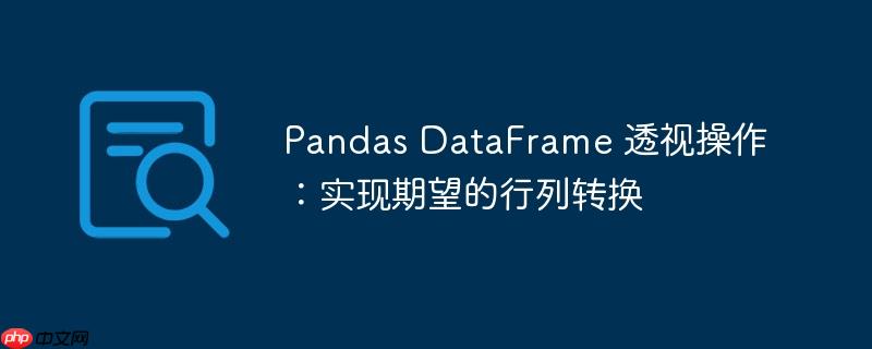 pandas dataframe 透视操作:实现期望的行列转换