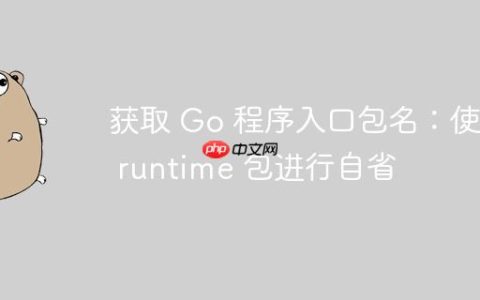 获取 Go 程序入口包名：使用 runtime 包进行自省
