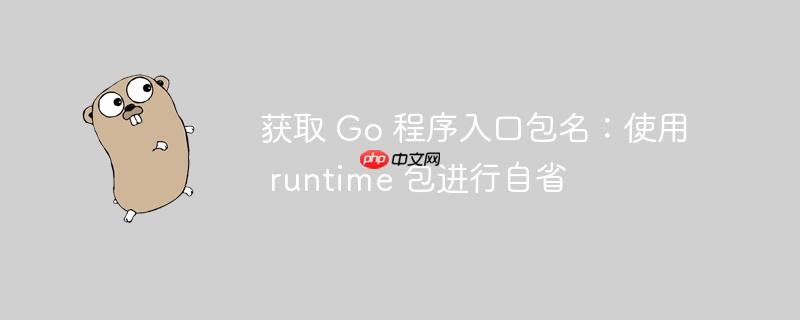 获取 go 程序入口包名:使用 runtime 包进行自省