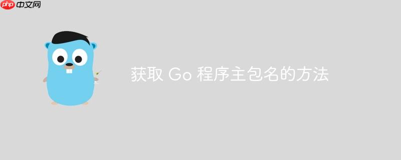 获取 go 程序主包名的方法
