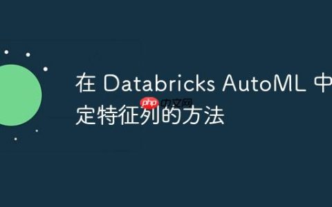 在 Databricks AutoML 中指定特征列的方法