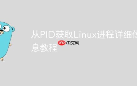 从PID获取Linux进程详细信息教程