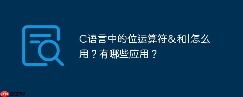 C语言中的位运算符&和|怎么用?有哪些应用?
